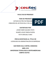 Informe Final Lacteos Dolly PDF