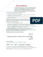 Terminos Algebraicos y Polinomios Especiales