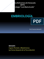 Proyeccion Laminas de Embriología Version Rotulada PDF