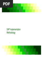 SAP Implementation Methodology PDF