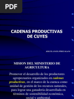 Cadenas Productivas Cuyes