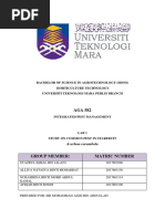 Lab Ipm