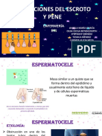 Alteraciones Del Escroto y Pene