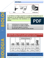 Biologia Prueba 5