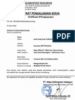 Surat Pengalaman Andi Cindy