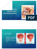 BPH PDF