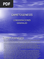 GAMETOGENESIS