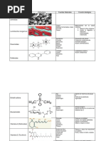 Cuadro Comparativo Alimentos Funcionales