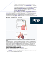 Formato Autoevaluación - Coevaluación