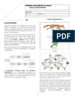 Guia 3 Ecosistema 5°