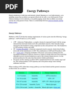 Energy Pathways