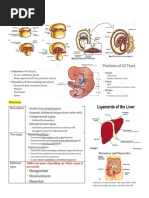 GI Anatomy & Embryo