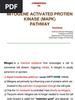 Mitogene Activated Protien Kinase (Mapk) Pathway: A Presentation ON