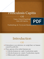 Presentasi Pediculosis Capitis