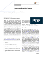 A Topological Representation of Branching Neuronal Morphologies