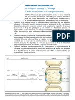 Metabolismo de Carbohidratos - A.J. Brito M.