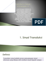 Transduksi Sinyal