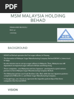 MSM Malaysia Holding Behad