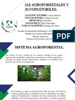 Sistemas Agroforestales y Silvopastoriles