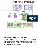 Resumen PSU Biologia PDV