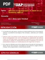 Semana 5 Coleccion de Semen PDF