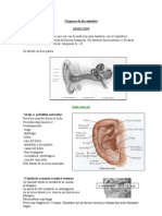 Órganos de Los Sentidos