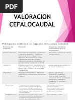 Valoracion Cefalocaudal