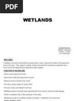 4wetland 16-02-19