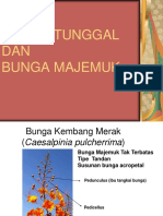 Bunga Tunggal DAN Bunga Majemuk