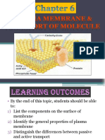 Plasma Membrane