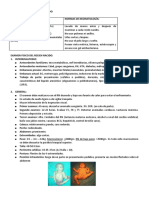 Examen Fisico Del Recien Nacido