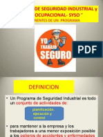 Plan de Seguridad Industrial20188