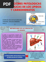 Alt. Pat. Met. de Lipids y Carbohidratos