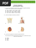 Evaluación Diagnóstica Ciencias Naturales 6° Básico: Muestra El Orden Creciente de Acuerdo A La Complejidad?