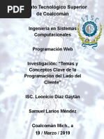 Programacion Del Lado Del Cliente