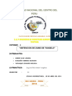 Informe Zumo de Tangelo