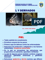 6 Piel Escamas