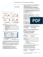 Evaluacion Diagnostica CUARTO Grado