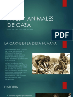 Aves y Animales de Caza