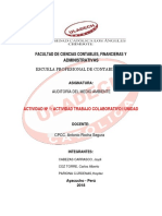 I Trabajo de Auditoria Del Medio Ambiente