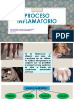 Proceso Inflamatorio