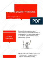 Structura Productiv-Comerciala