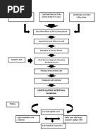 Pathophysiology of Ugib