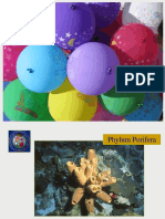 Poriferos PDF