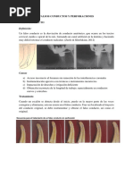 Endodoncia Grupo 4 Perforaciones y Falsos Conductos