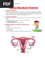 Aparato Reproductor Femenino