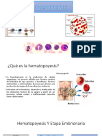 Hematopoyesis PDF