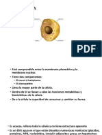 Biología Semana 3 - Parte 2