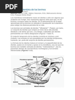 Cronología Dentária de Los Bovinos