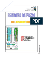 Registro de Pozos Trab 1